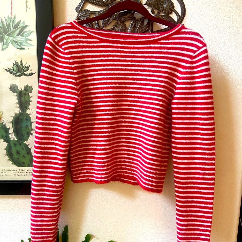 Amuse Society crop sweater